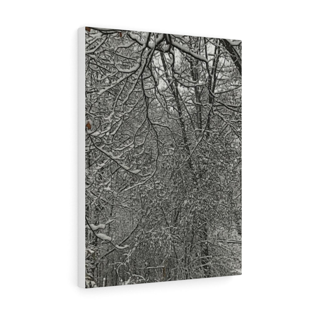 First Winter Snow Stretched Canvas