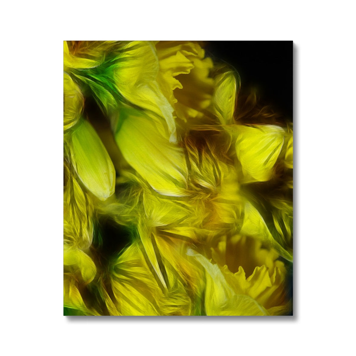 Abstract Yellow Daffodils Canvas