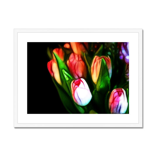 Pink Tulips Framed & Mounted Print