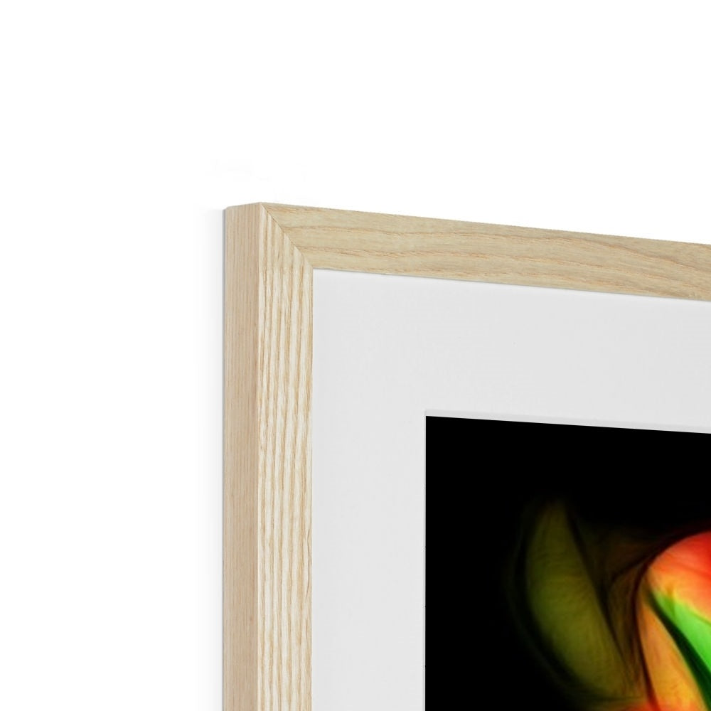 Pink Tulips Framed & Mounted Print