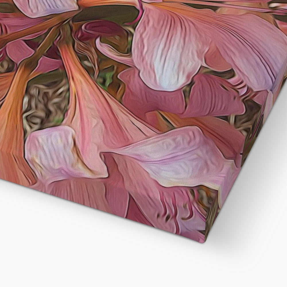 Pink Amaryllis Canvas