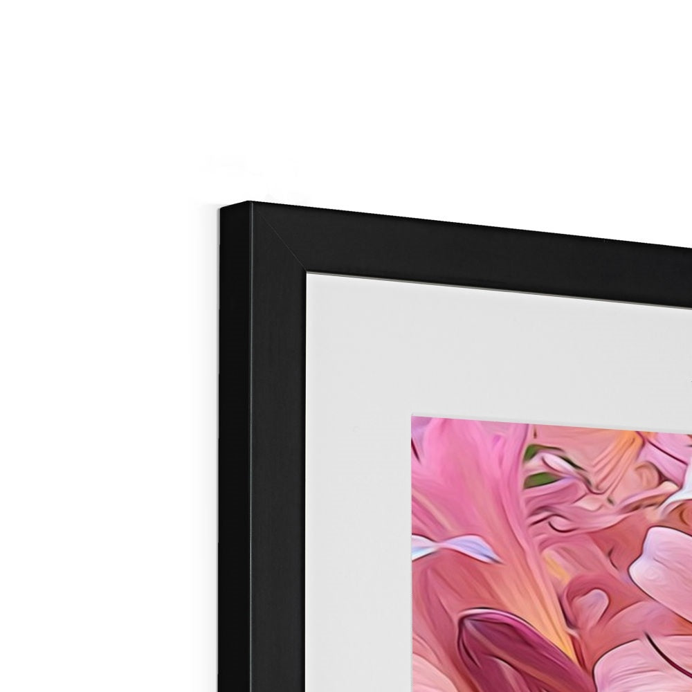 Pink Amaryllis Framed & Mounted Print