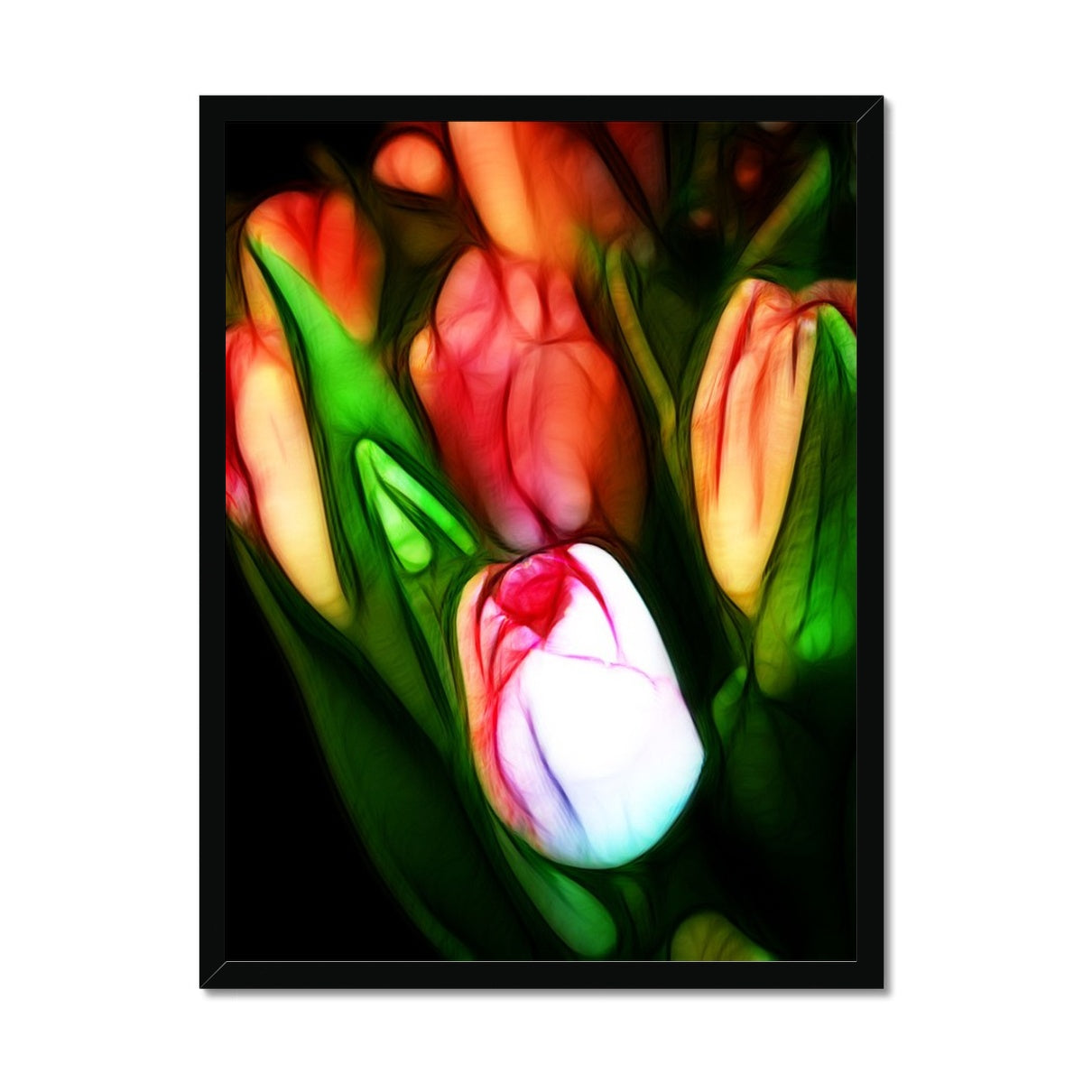 Pink Tulips Framed Print