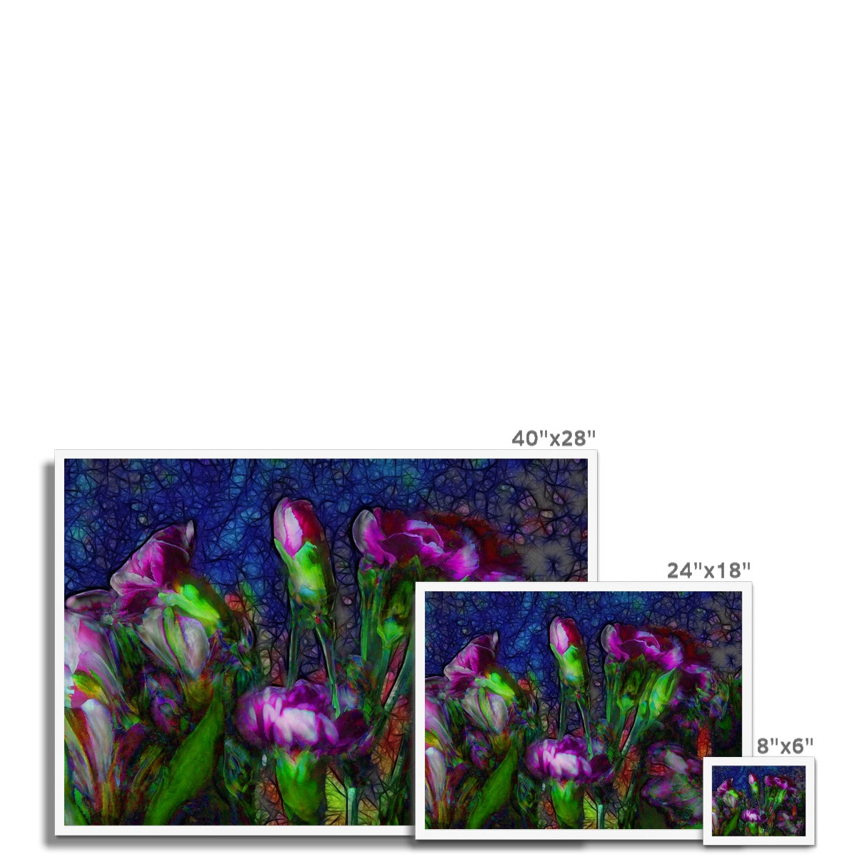 Abstract Pink Carnations Framed Print
