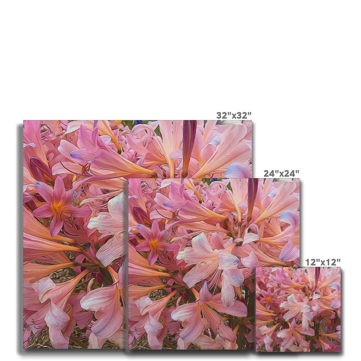 Pink Amaryllis Canvas