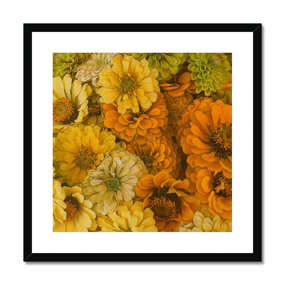 Yellow Zinnias Framed & Mounted Print
