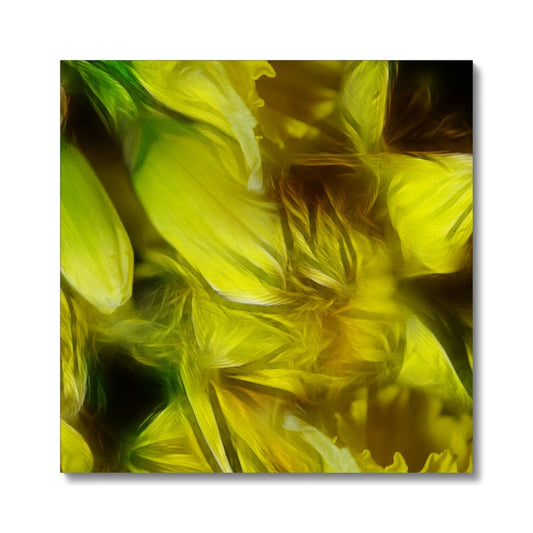 Abstract Yellow Daffodils Canvas