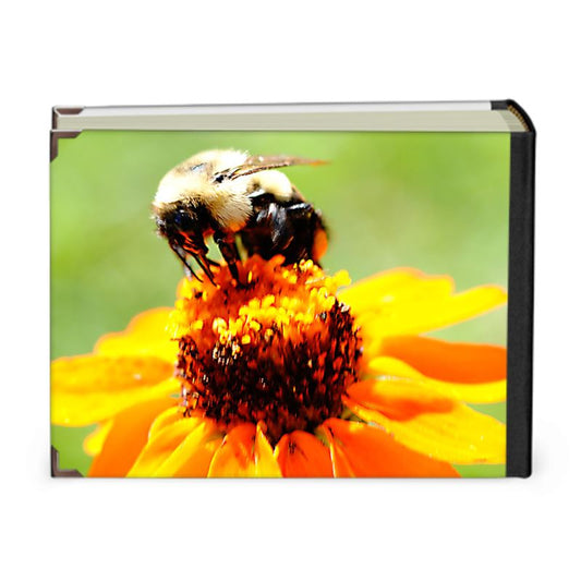 Bee On A Flower Photo album