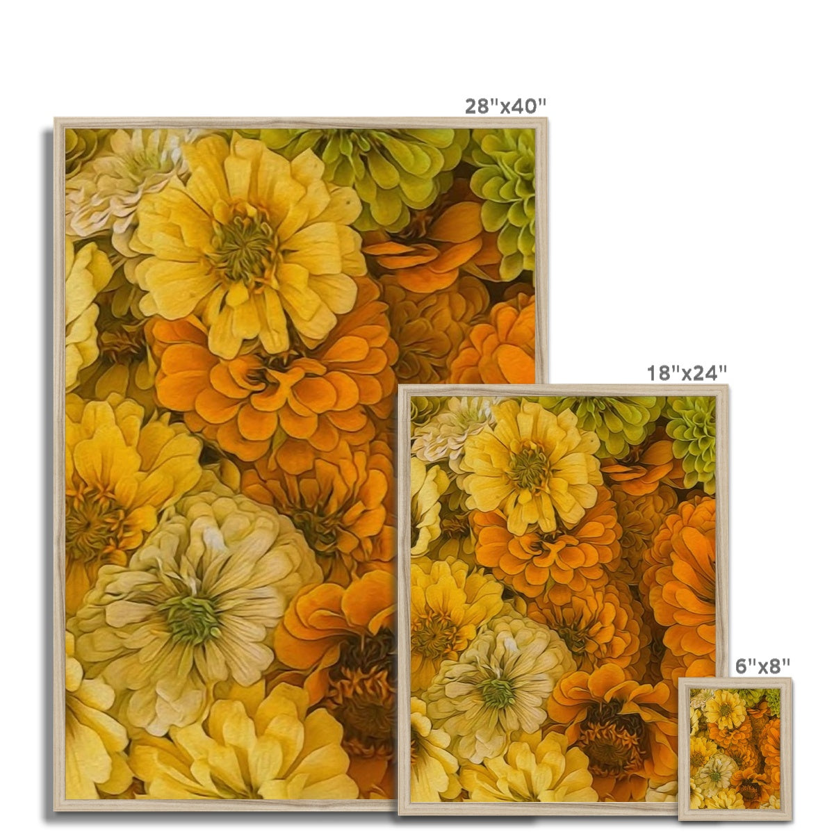 Yellow Zinnias Framed Print