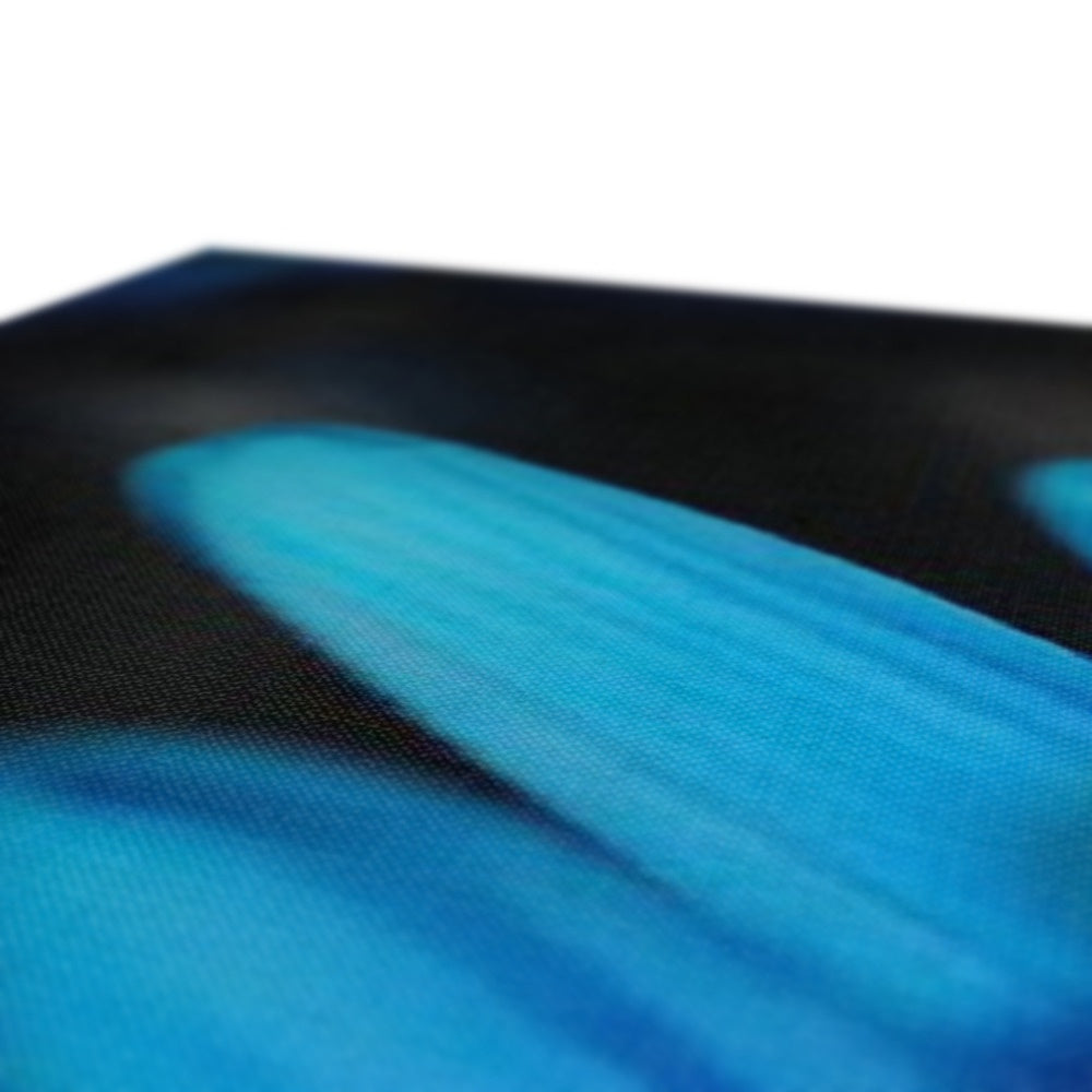 Blue Daisy Canvas