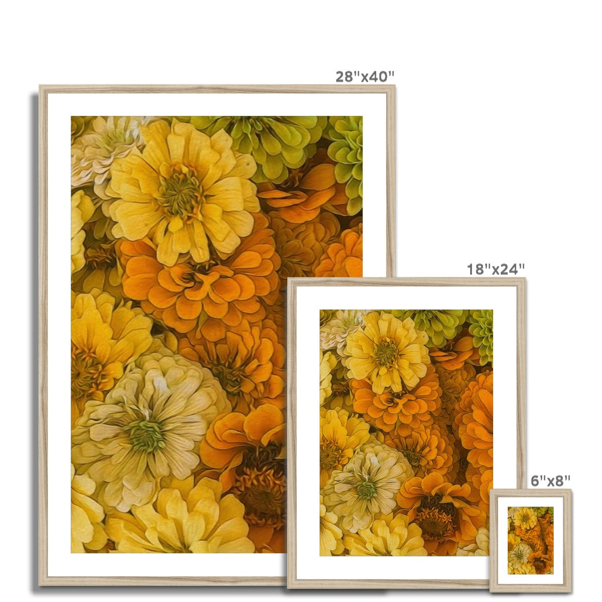 Yellow Zinnias Framed & Mounted Print