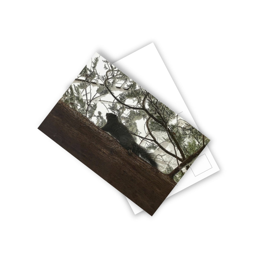 Squirrel On a Snowy Tree Postcards (10pcs)