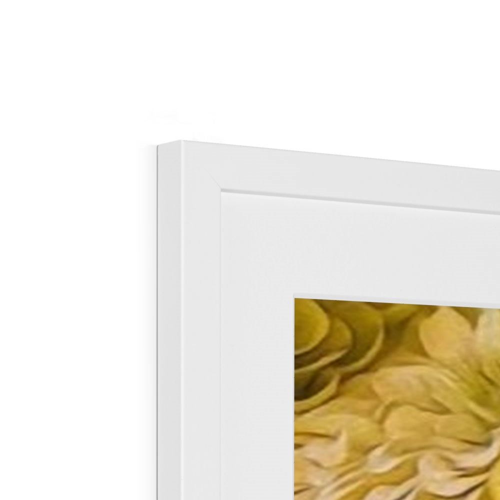 Yellow Zinnias Framed & Mounted Print