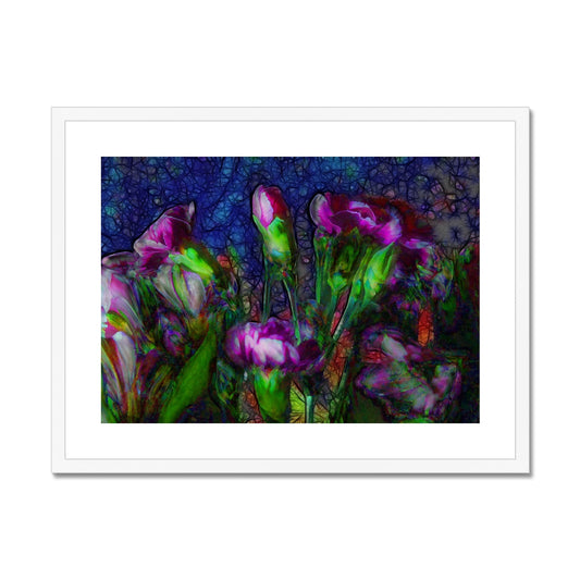 Abstract Pink Carnations Framed & Mounted Print