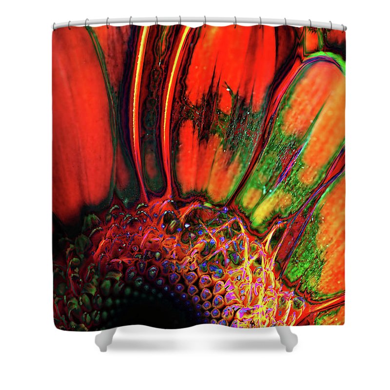 Abstract Orange Daisy - Shower Curtain
