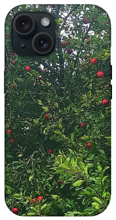 Apple Tree Close Up - Phone Case