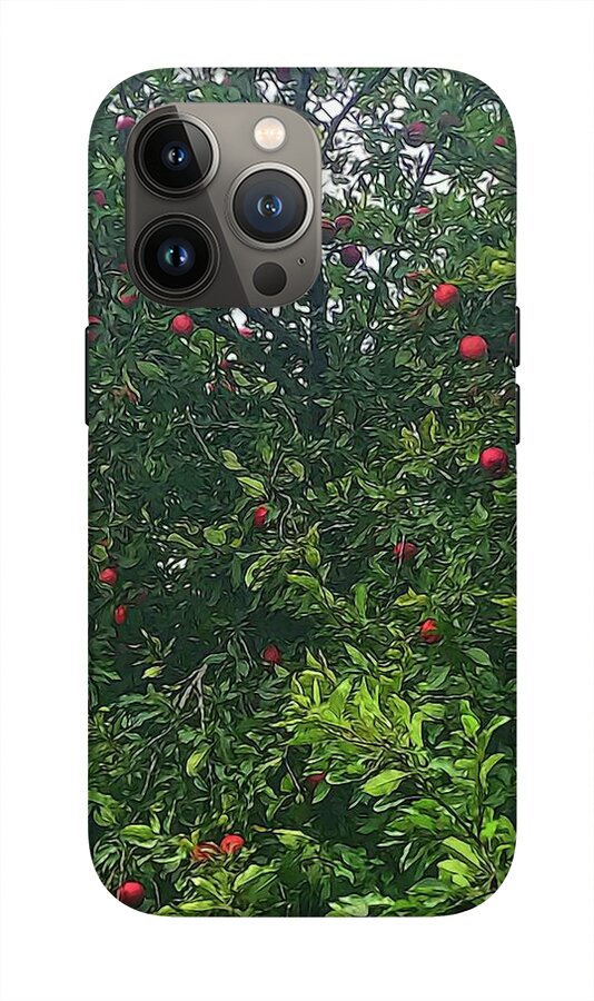 Apple Tree Close Up - Phone Case