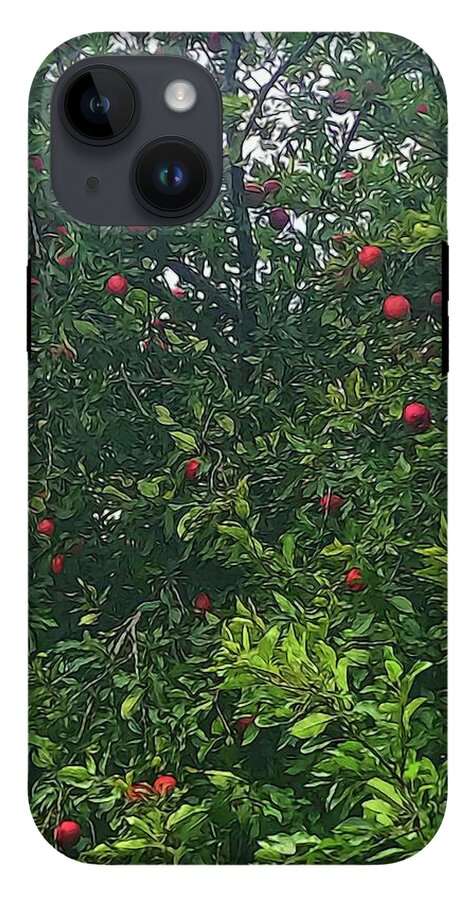 Apple Tree Close Up - Phone Case