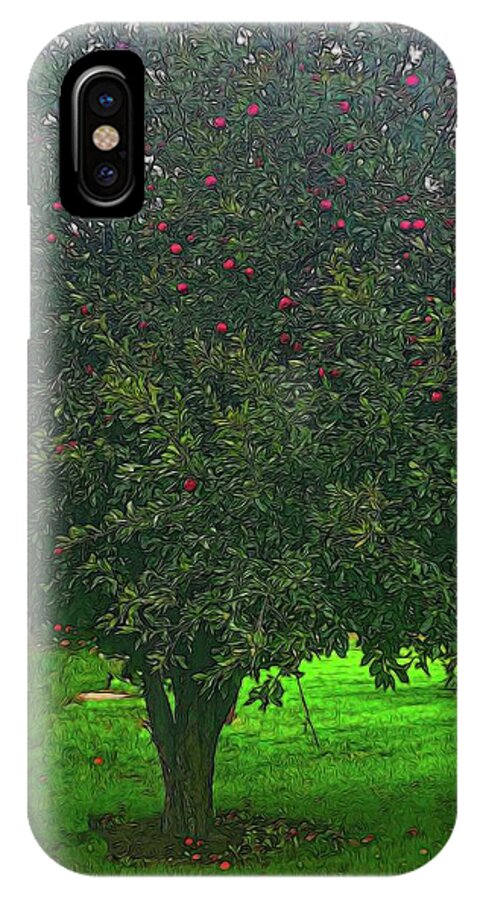 Apple Tree With Red Ripe Apples - Phone Case