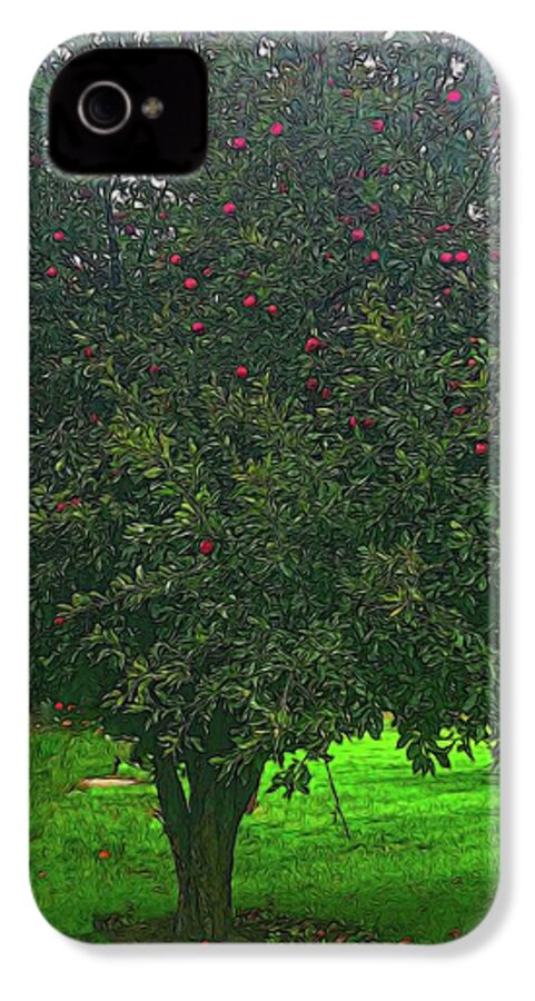 Apple Tree With Red Ripe Apples - Phone Case