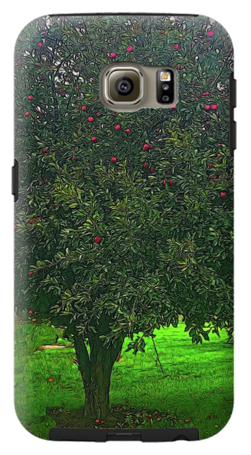 Apple Tree With Red Ripe Apples - Phone Case