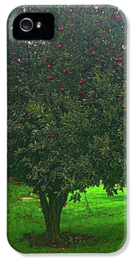 Apple Tree With Red Ripe Apples - Phone Case