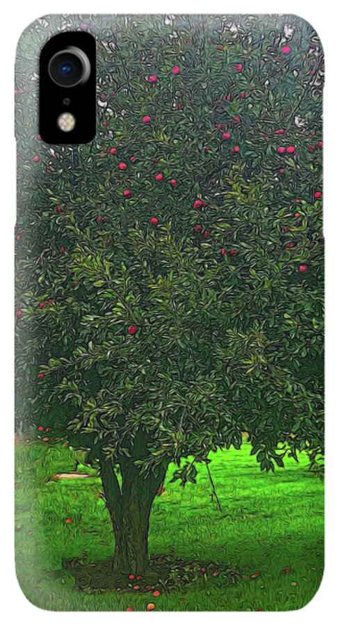 Apple Tree With Red Ripe Apples - Phone Case