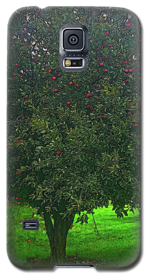 Apple Tree With Red Ripe Apples - Phone Case