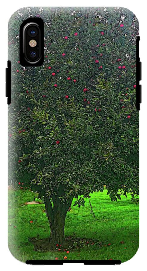 Apple Tree With Red Ripe Apples - Phone Case