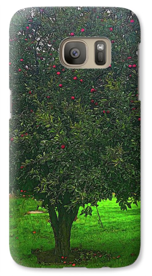 Apple Tree With Red Ripe Apples - Phone Case