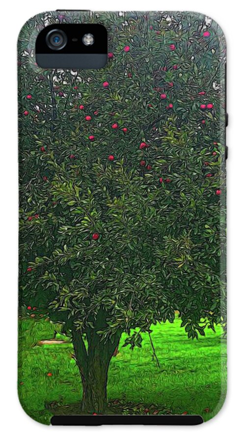 Apple Tree With Red Ripe Apples - Phone Case