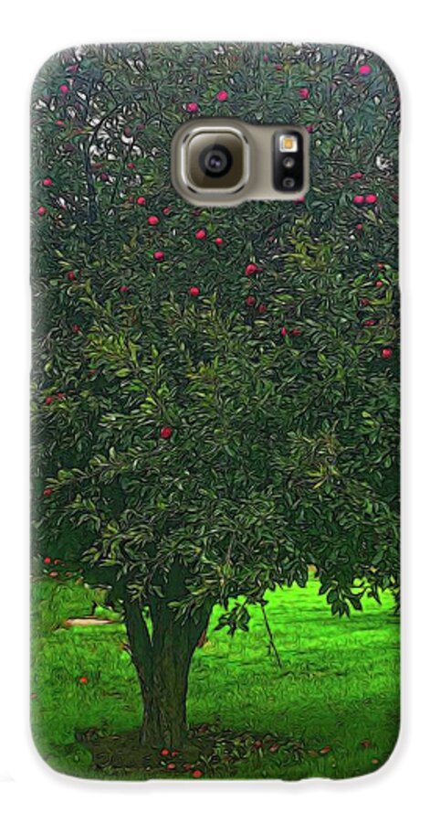 Apple Tree With Red Ripe Apples - Phone Case