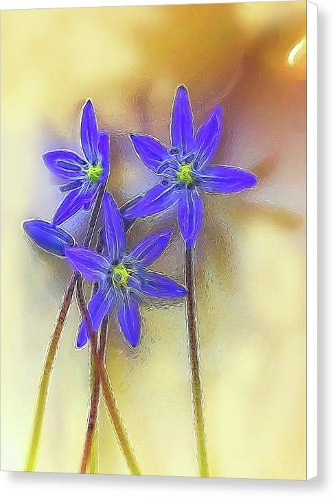 April Flowers - Canvas Print