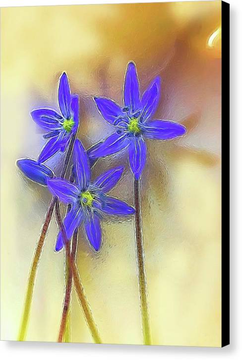 April Flowers - Canvas Print