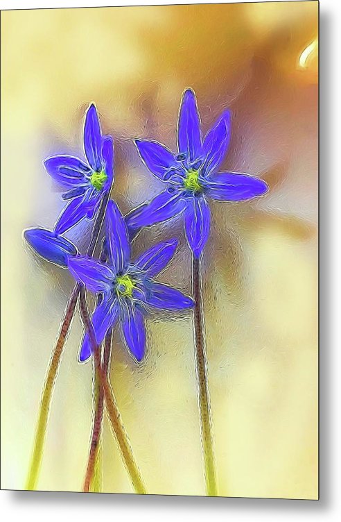 April Flowers - Metal Print