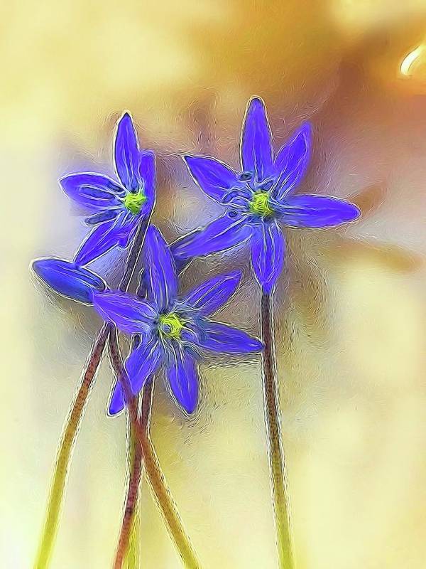 April Flowers - Art Print