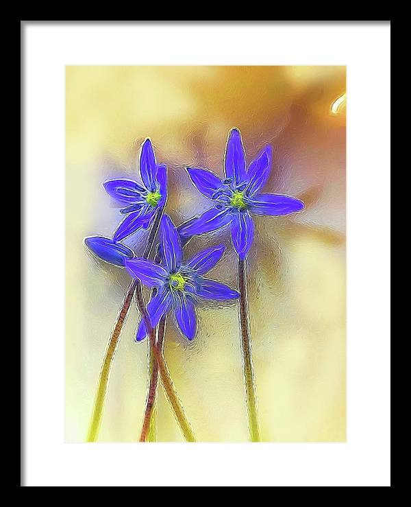 April Flowers - Framed Print