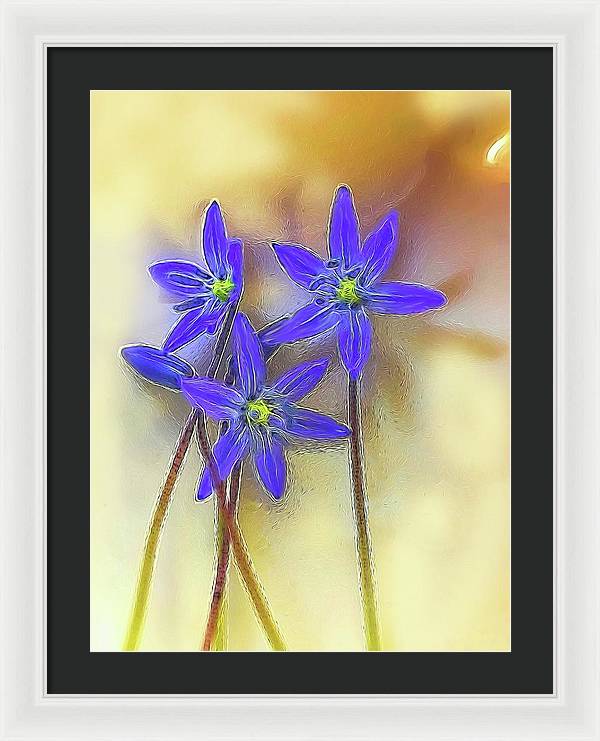 April Flowers - Framed Print