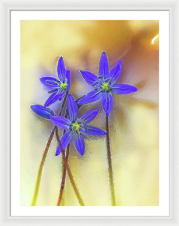 April Flowers - Framed Print