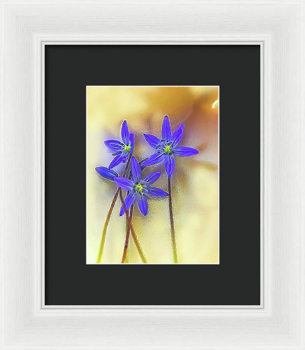 April Flowers - Framed Print