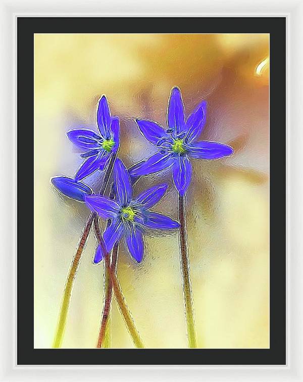 April Flowers - Framed Print