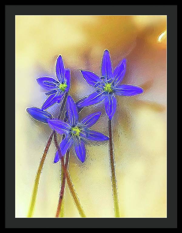 April Flowers - Framed Print