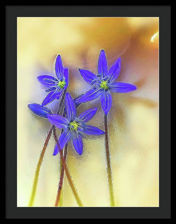 April Flowers - Framed Print