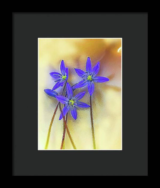 April Flowers - Framed Print