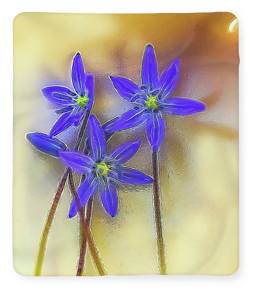 April Flowers - Blanket