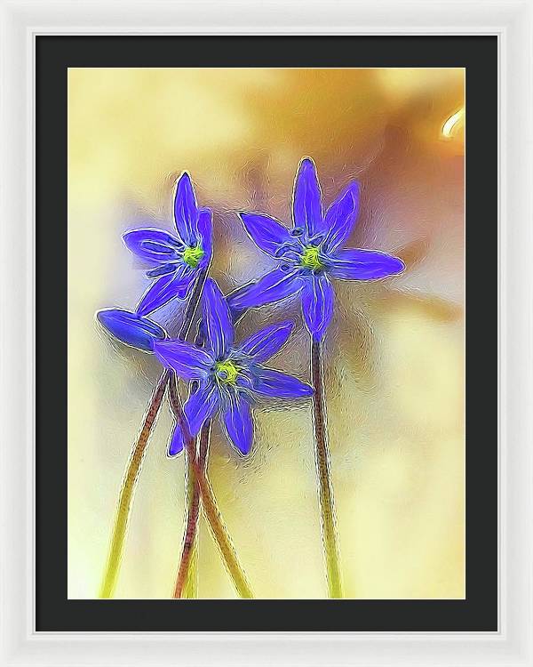 April Flowers - Framed Print