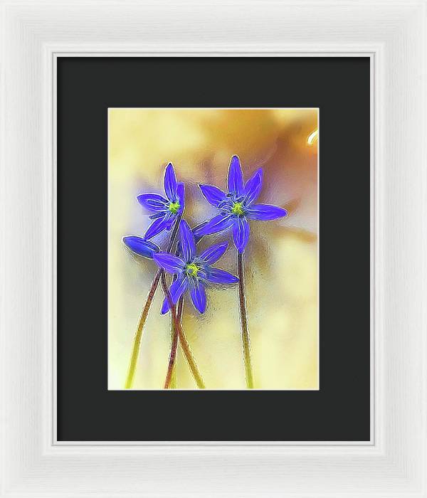 April Flowers - Framed Print