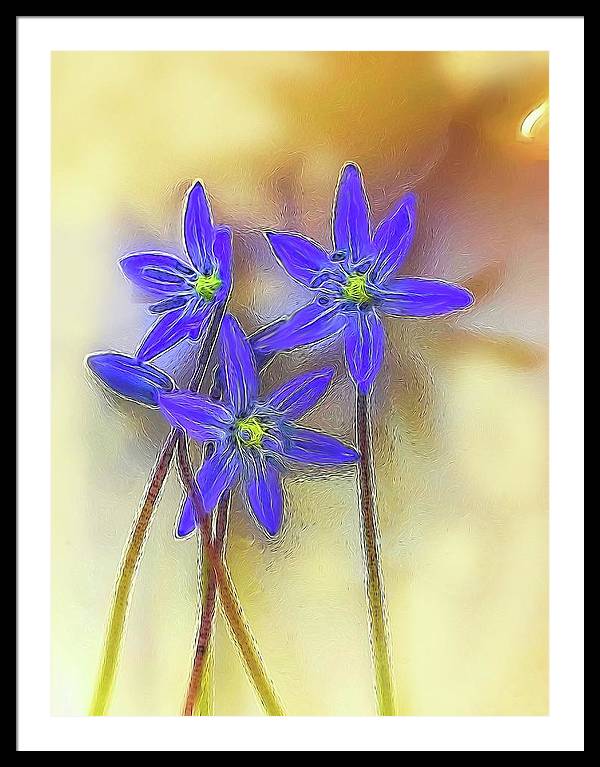 April Flowers - Framed Print