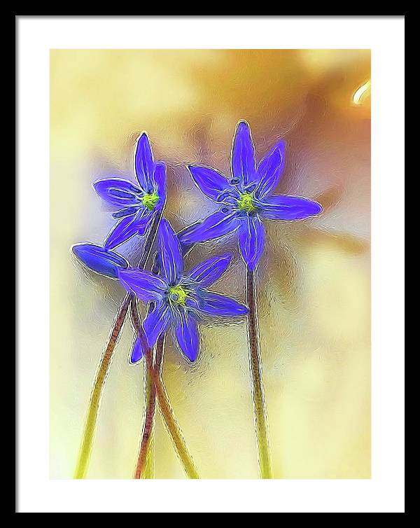 April Flowers - Framed Print