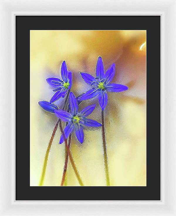 April Flowers - Framed Print